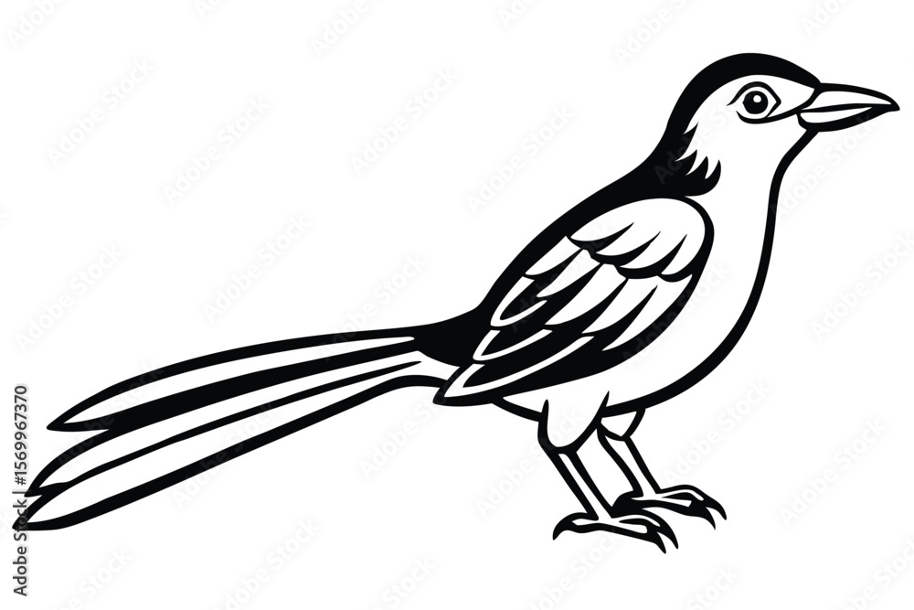 Obraz premium Black and White Illustration of a Standing Magpie with Long Tail Feathers