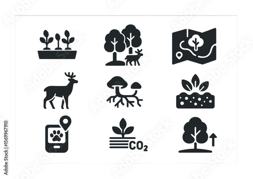 Forest Rewilding Icons. Solid, filled icons set of forest rewilding: tree nursery, young forest, forest map,
