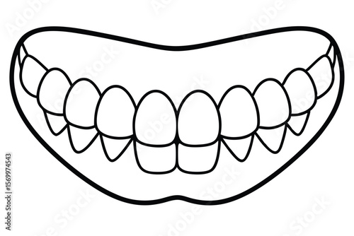 Line Art Depicting Upper and Lower Teeth with Gums and Jaw Outline