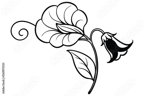 Black and White Drawing of Decorative Flower with Leaves and a Bell Bloom