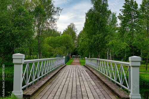 wooden bridge in the park