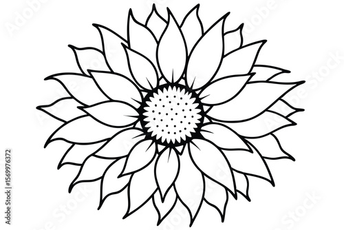 Sunflower Illustration with Detailed Petals and Seed Center in Black and White Outline
