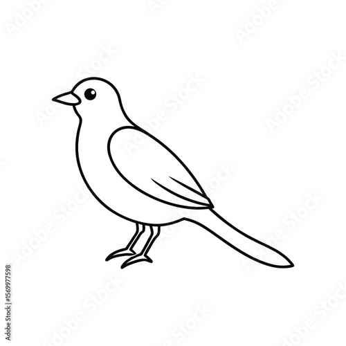 bird line art