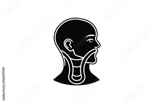 Human Head and Neck Anatomy Medical Illustration Showing Throat and Esophagus Black Silhouette