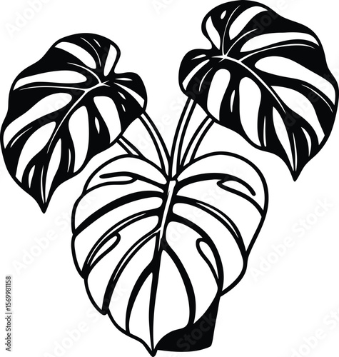 Monstera Leaf Illustration: A clean, graphic illustration of the iconic Monstera deliciosa plant, showcasing its distinctive split leaves and lush foliage.