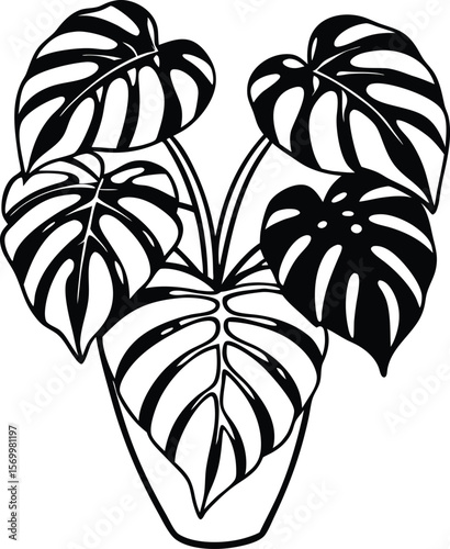 Monstera deliciosa Line Art: Stylish line art illustration of a Monstera deliciosa plant in a pot, showcasing its iconic split leaves.