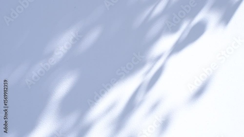 Wallpaper Mural The sky is a light blue color with white clouds scattered throughout. A shadow of a tree can be seen on the ground, creating a beautiful contrast between the sky and the earth Torontodigital.ca