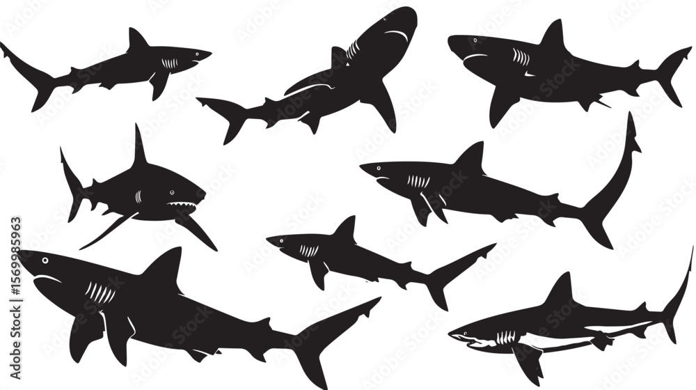Fototapeta premium Sharks silhouette isolated in White background
