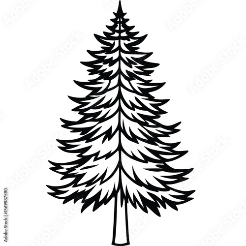 Evergreen Silhouette: A simple, elegant outline of a stately evergreen tree stands tall, symbolizing resilience and the enduring beauty of the natural world.