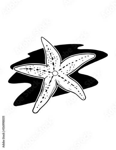 Starfish explores secrets beneath the ocean waves.