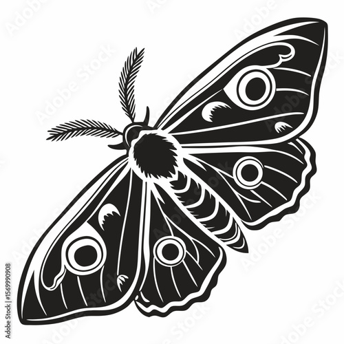 butterfly tattoo design