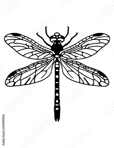 Dragonfly races lightning across stormy skies.