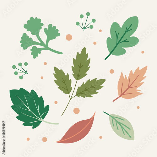 A delightful assortment of simple leaf prints and botanical elements for decorative designs and minimal floral pattern compositions