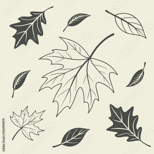 A simple collection of minimal floral pattern leaf prints with various leaf shapes for aesthetic design elements