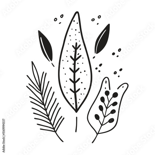 Black and white minimalist botanical arrangement featuring various leaf prints with hand drawn doodle elements.