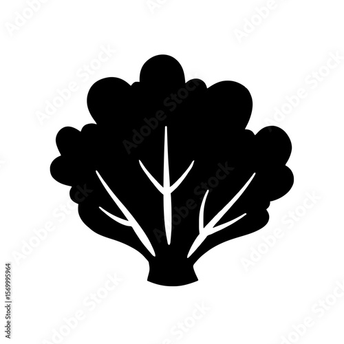 Minimalist black silhouette of radicchio with bold lines on white background