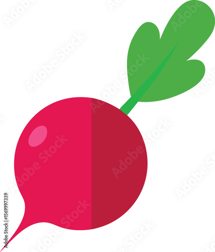 Radish illustration: A vibrant illustration of a single radish, showcasing its bright red color, crisp texture, and fresh green leaves. The image is perfect for use in food blogs, recipe websites.