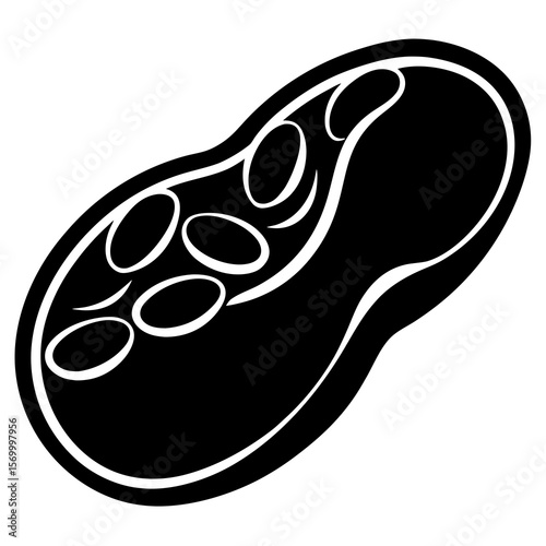 Kidney Bean  Vector AI Line Art Food Symbol for Healthy Cooking & Nutrition Design