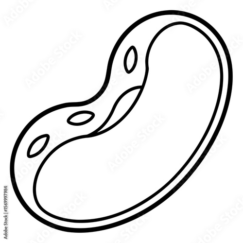 Kidney Bean  Vector AI Line Art Food Symbol for Healthy Cooking & Nutrition Design