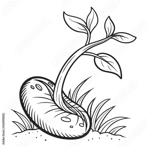 Sprouted Bean  Vector AI Line Art Food Symbol for Healthy Cooking & Nutrition Design