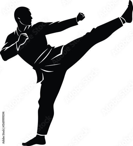 Martial Artist Executing a Powerful Side Kick in Silhouette