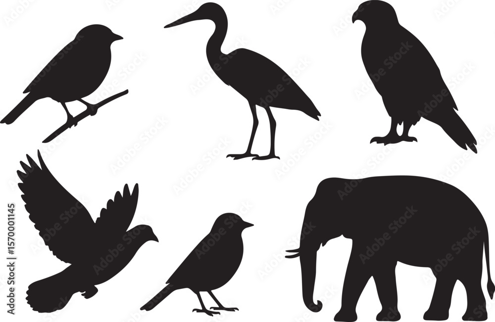 Obraz premium Bird and Elephant Silhouettes: Black and White Vector Illustration