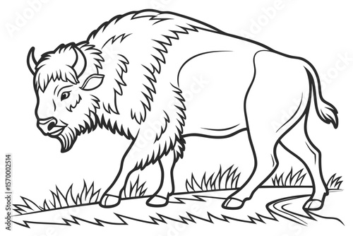 coloring page line art the bison black vector