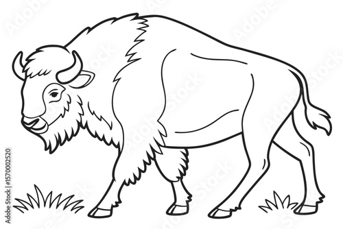 coloring page line art the bison black vector