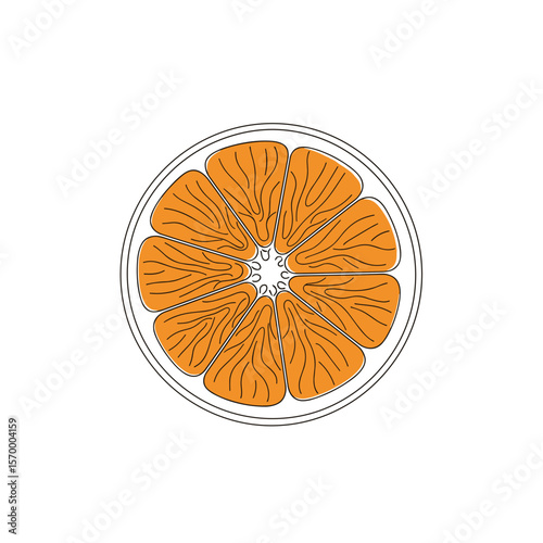 Orange slice illustration with detailed segments on white background  