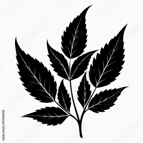 Neem leaves Silhouette Vector