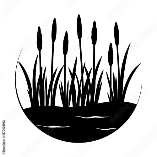 Cattails reeds marsh plants vegetation silhouette nature scene