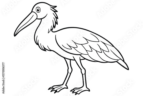 Simple Line Drawing of an Ibis Bird with Long Beak and Detailed Feathers