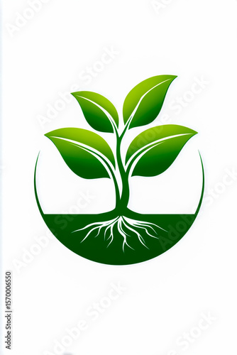 Green leaves sprouting from soil on white background