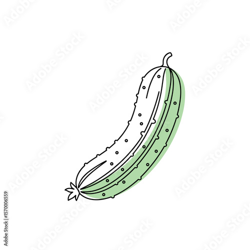 Fresh cucumber illustration with green color and outline design  