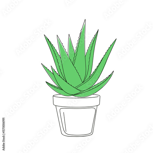 Aloe vera plant in white pot with minimalistic design  