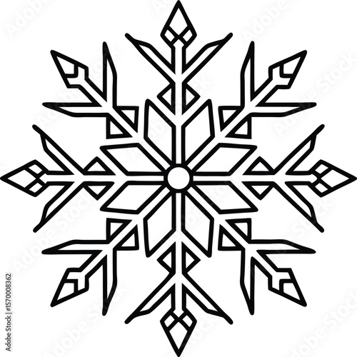 Snowflake: A symmetrical snowflake, showcasing its intricate, ice crystal structure with sharp, geometric precision. 