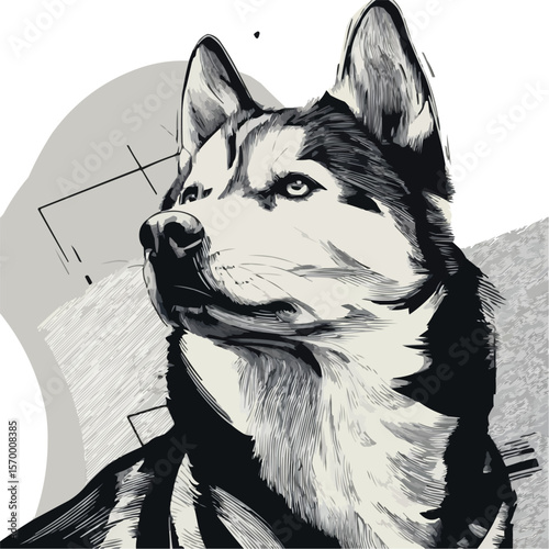 Siberian Husky Looking Up – Calm and Noble