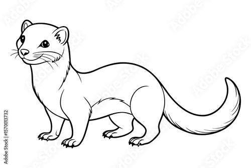 coloring page line art the weasel black vector