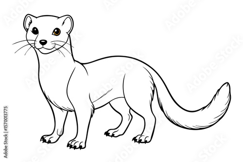 coloring page line art the weasel black vector