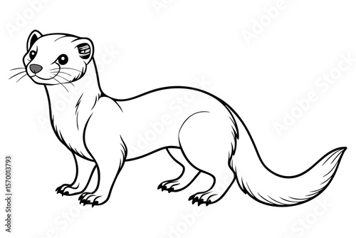 coloring page line art the weasel black vector