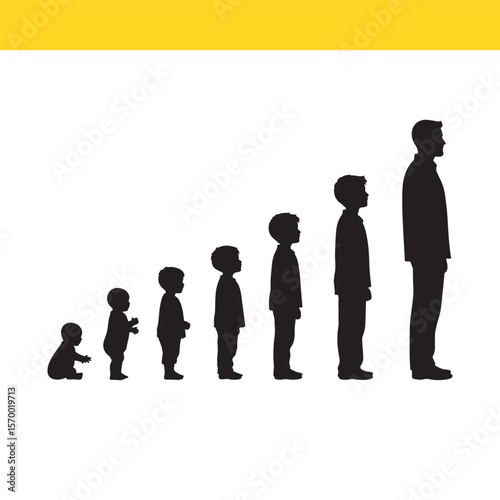 Stages of Growth A Visual Representation of Human Development from Infancy to Adulthood