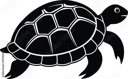 Silhouette Sea Turtle: A striking silhouette of a sea turtle, captured with precision and detail, highlights the majestic form of this ocean dweller. This image evokes tranquility.