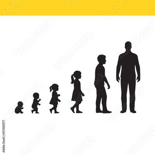Human Growth Stages A Visual Representation of Life's Journey from Infancy to Adulthood