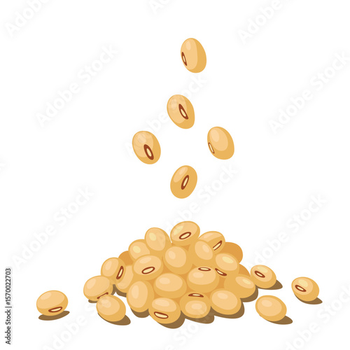 Soybean seeds fall and pile up on the floor, isolated on white background.