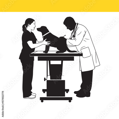 Veterinary Care Compassionate Dog Examination and Treatment