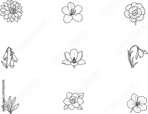 Collection of delicate hand drawn floral illustrations featuring a dahlia cherry blossom carnation foxglove magnolia snowdrop foliage rose and geranium