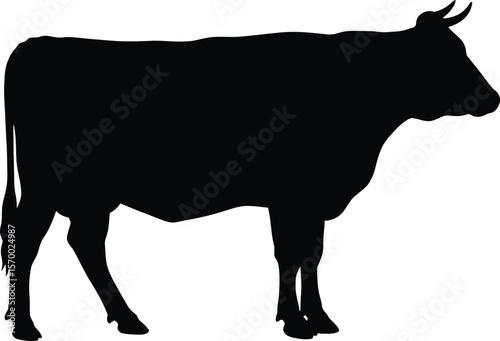 Black silhouette of a standing cow