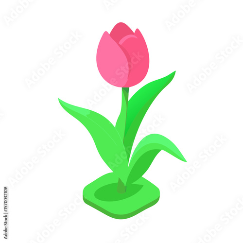 Pink Tulip Illustration Spring Blossom Graphic for Websites and Designs