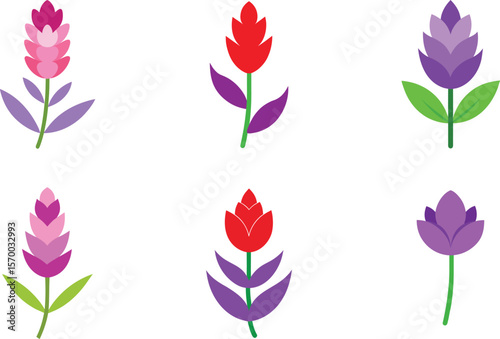 Lavender Flower Color Vector Illustration
