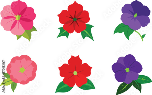 Petunia Flower Color Vector Illustration

